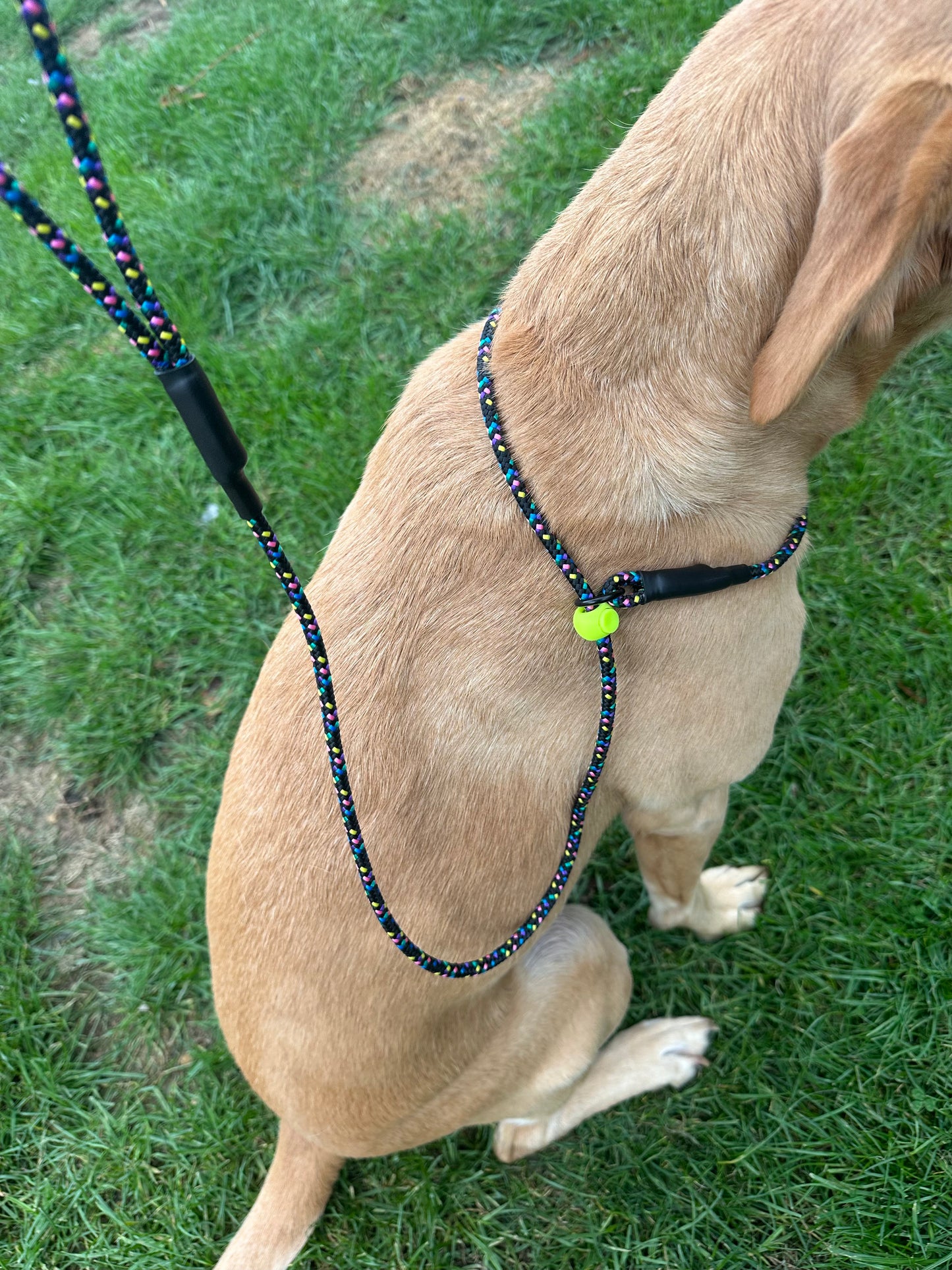 Slip Lead