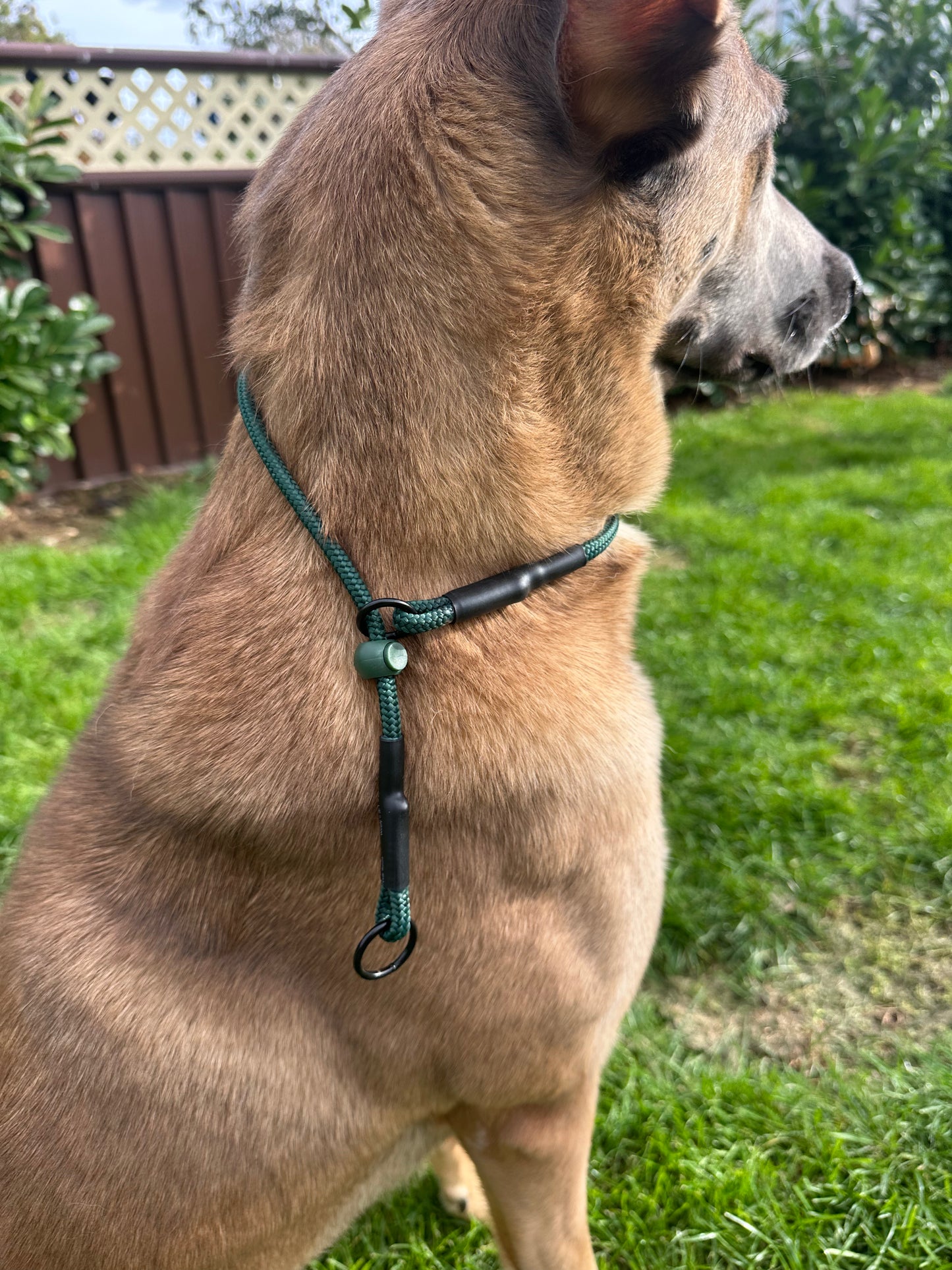 Slip Collar